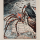 Image for article titled Was Britain's WWI Blockade The First Atrocity Of The 20th Century?